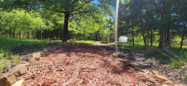 140 Last Resort Rd, Stigler, OK 74462 - view of yard