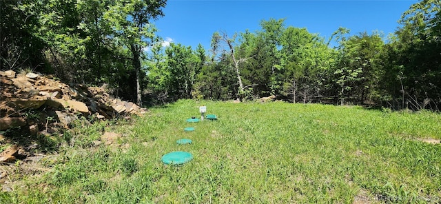 140 Last Resort Rd, Stigler, OK 74462 - view of yard