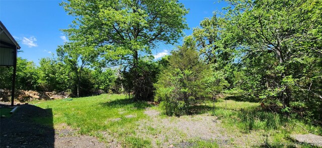 140 Last Resort Rd, Stigler, OK 74462 - view of yard