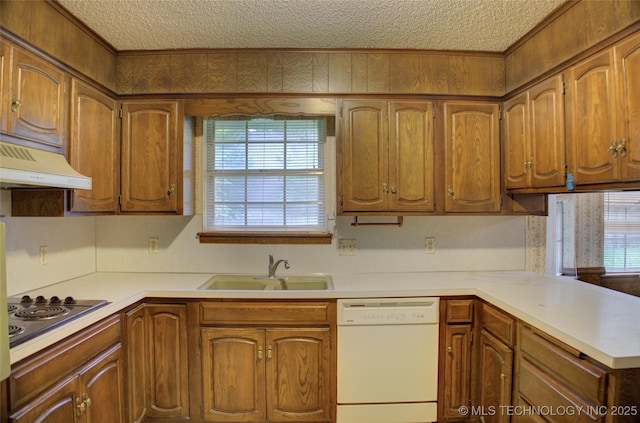 4004 S Hickory Ave, Broken Arrow, OK 74011 - kitchen with white dishwasher, electric cooktop, a sink, under cabinet range hood, and a textured ceiling