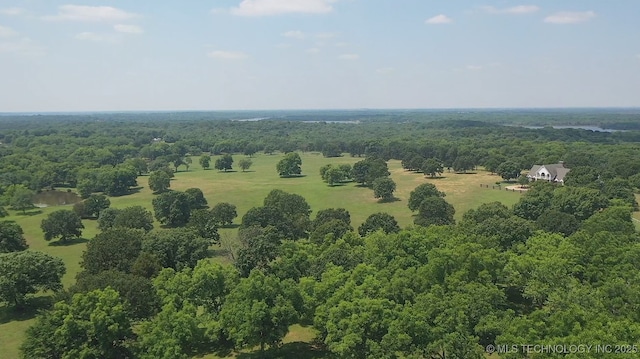 66235 S 320th Rd, Chouteau, OK 74337 - bird's eye view of a forest