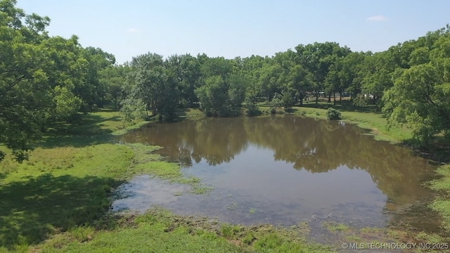 66235 S 320th Rd, Chouteau, OK 74337 - water view with a forest
