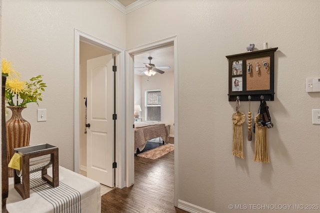 3117 S Hemlock Ct, Broken Arrow, OK 74012 - corridor with dark wood-style flooring, ornamental molding, and baseboards