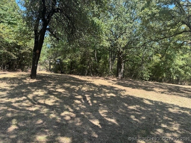 13248 Spelling Rd, Davis, OK 73030 - view of yard with a view of trees