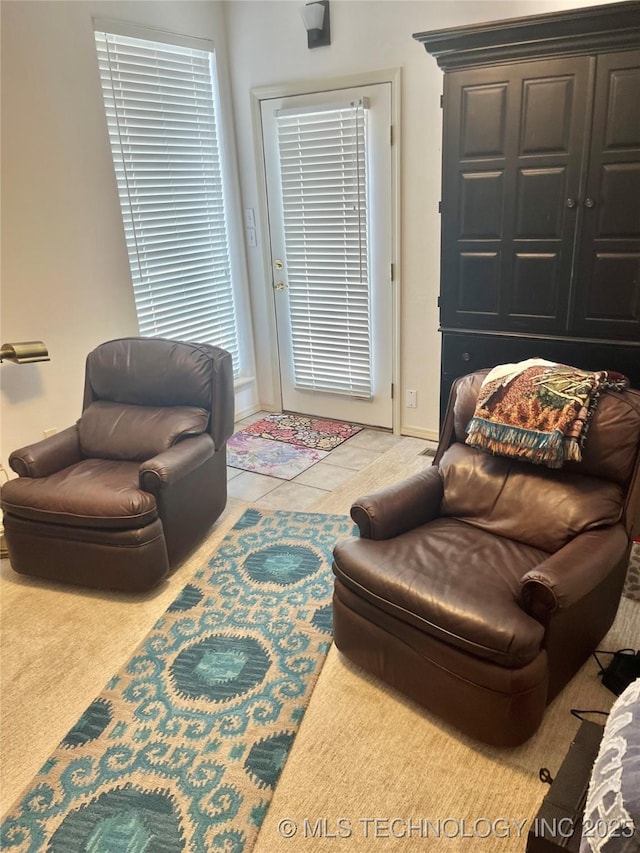5168 Tower Dr, Kingston, OK 73439 - view of living area