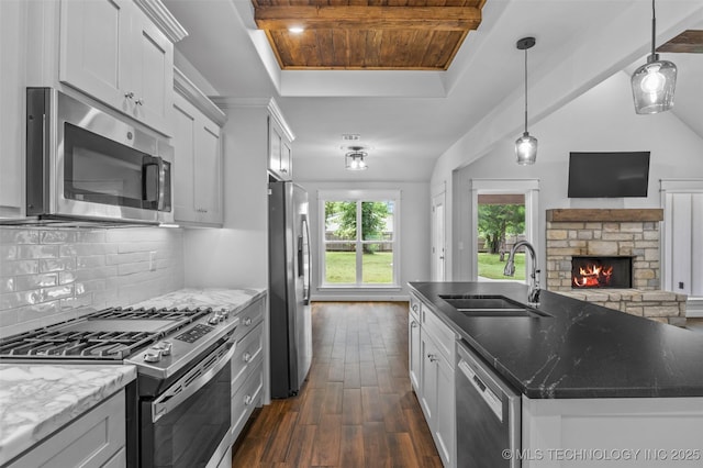 21893 S Arlene Dr, Claremore, OK 74019 - kitchen with appliances with stainless steel finishes, a sink, a tray ceiling, dark wood finished floors, and open floor plan