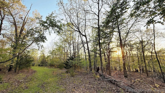 2345 Overlook Dr, Kansas, OK 74347 - photo 4