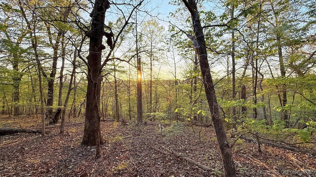 2345 Overlook Dr, Kansas, OK 74347 - photo 5