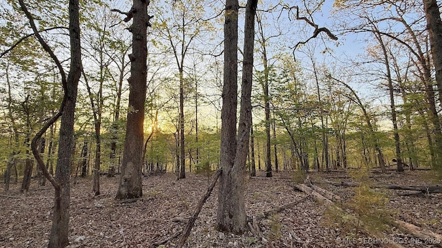 2345 Overlook Dr, Kansas, OK 74347 - photo 1
