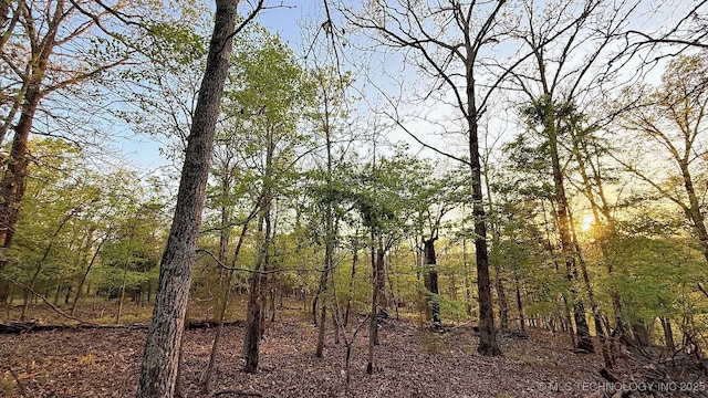 2345 Overlook Dr, Kansas, OK 74347 - photo 9