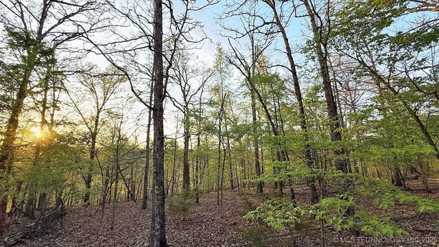 2345 Overlook Dr, Kansas, OK 74347 - photo 11
