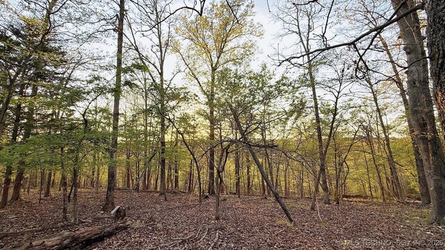 2345 Overlook Dr, Kansas, OK 74347 - photo 12