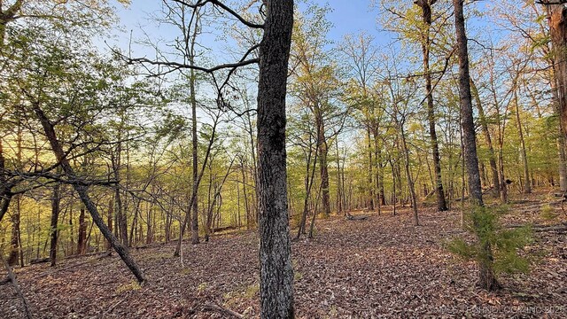 2345 Overlook Dr, Kansas, OK 74347 - photo 14