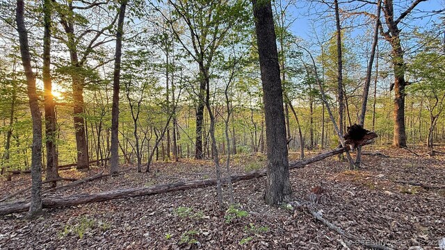2345 Overlook Dr, Kansas, OK 74347 - photo 15