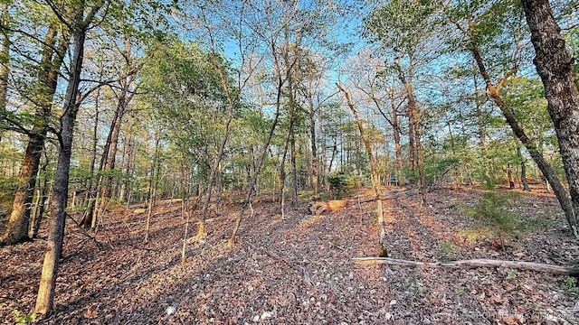2345 Overlook Dr, Kansas, OK 74347 - photo 16
