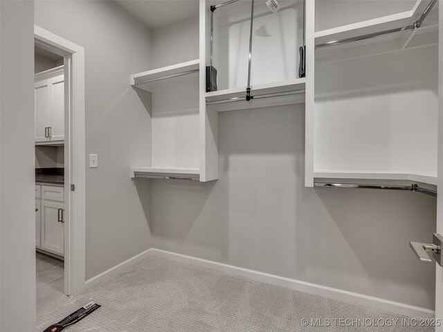 4010 W Baton Rouge St, Broken Arrow, OK 74011 - walk in closet with carpet flooring