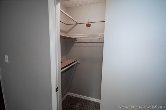11612 E 28th St, Tulsa, OK 74129 - walk in closet with carpet flooring