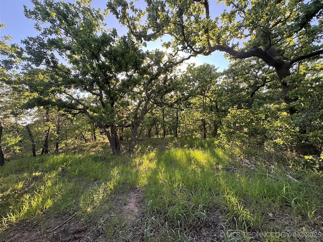 3400 E County Road 1600, Wynnewood, OK 73098 - photo 2
