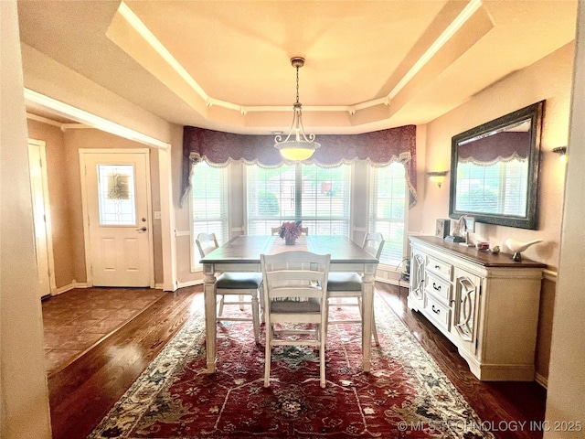 1403 NW Mimosa Cir, Stigler, OK 74462 - dining area featuring dark wood-style flooring, a tray ceiling, and plenty of natural light