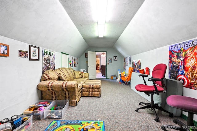 11715 S 93rd E Ave, Bixby, OK 74008 - playroom with carpet floors and lofted ceiling