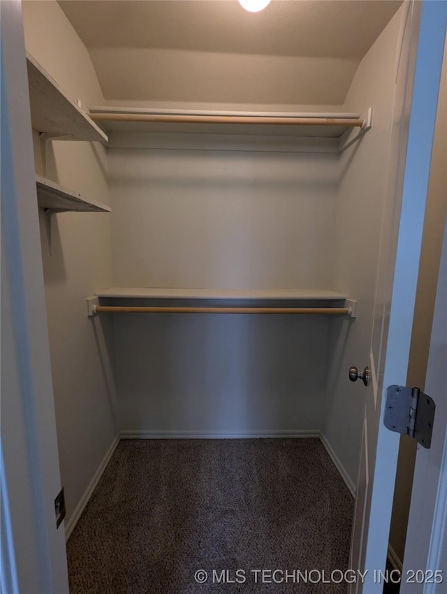 7870 N 163rd E Ct, Owasso, OK 74055 - walk in closet with carpet floors
