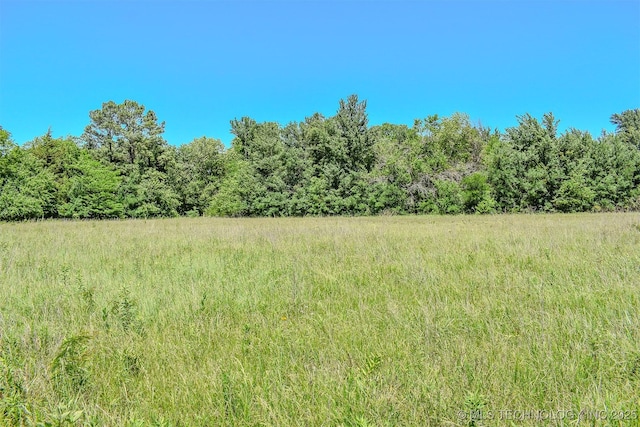 919 N 4210th Rd, Hugo, OK 74743 - view of wooded area