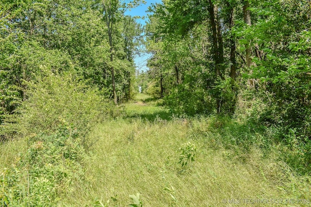 919 N 4210th Rd, Hugo, OK 74743 - view of local wilderness