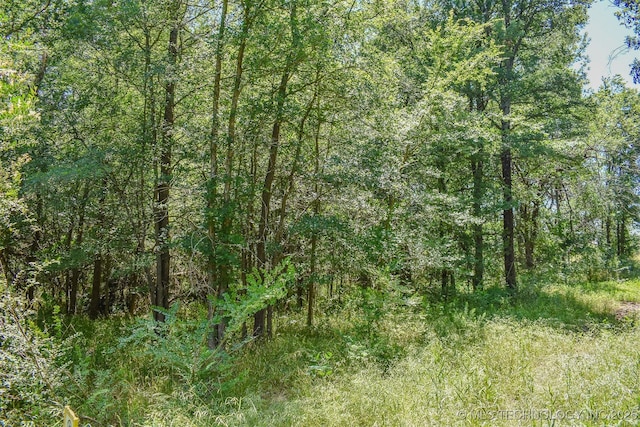 919 N 4210th Rd, Hugo, OK 74743 - view of wooded area
