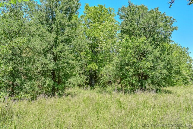 919 N 4210th Rd, Hugo, OK 74743 - view of wooded area