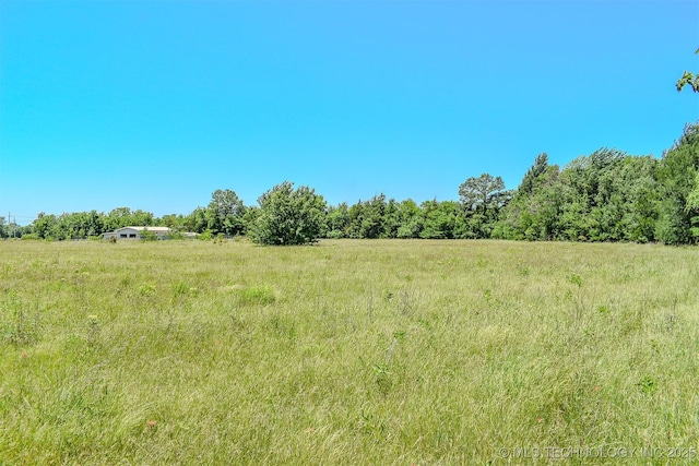 919 N 4210th Rd, Hugo, OK 74743 - view of local wilderness with rural landscape