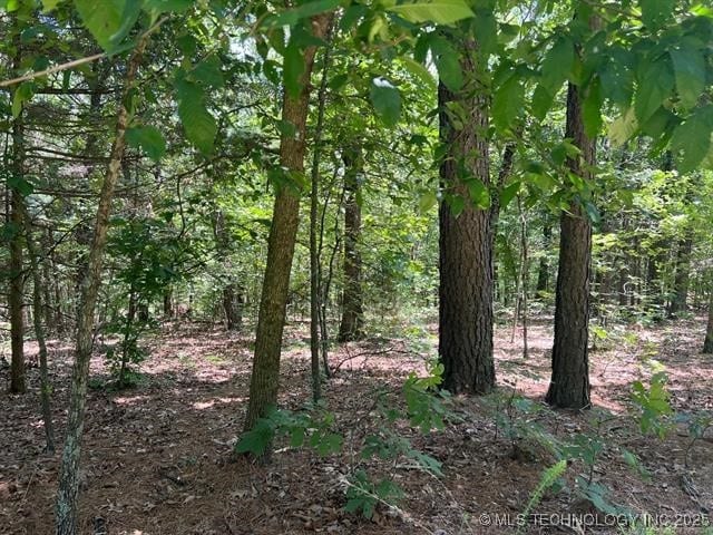 S 4409, Locust Grove, OK 74352