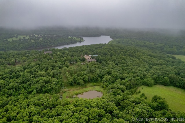 5687 Lake Jackson Rd, Mounds, OK 74047 - drone / aerial view of a forest and a large body of water