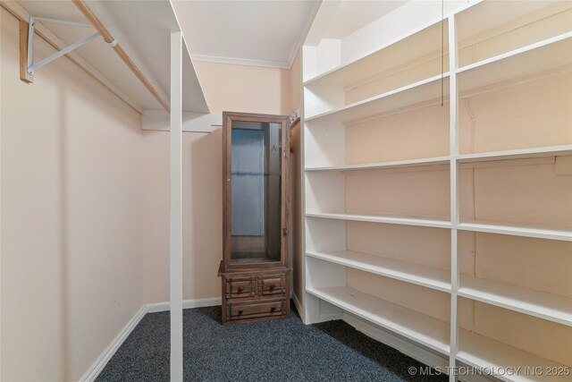 1401 E S Ave, Mcalester, OK 74501 - spacious closet with carpet flooring
