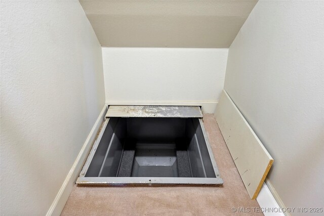 465 E 113th St S, Jenks, OK 74037 - entry to storm shelter