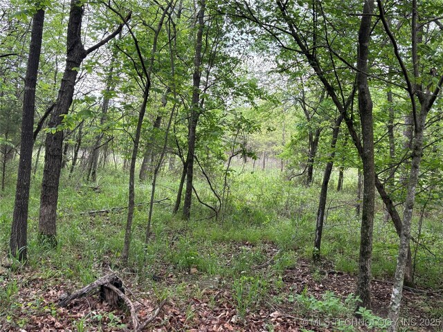 123 E Bolen Hollow Hollow W, Pittsburg, OK 74560 - photo 28
