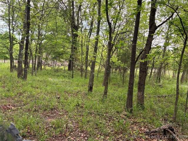 123 E Bolen Hollow Hollow W, Pittsburg, OK 74560 - photo 29
