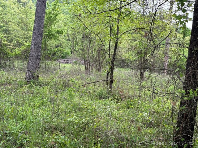 123 E Bolen Hollow Hollow W, Pittsburg, OK 74560 - photo 33