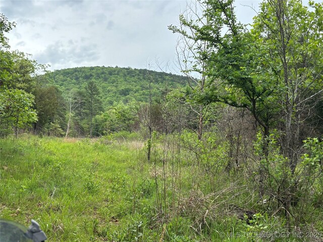 123 E Bolen Hollow Hollow W, Pittsburg, OK 74560 - photo 6