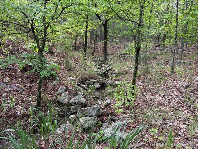 123 E Bolen Hollow Hollow W, Pittsburg, OK 74560 - photo 10