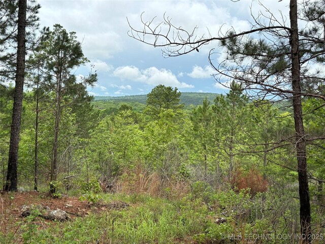 123 E Bolen Hollow Hollow W, Pittsburg, OK 74560 - photo 13