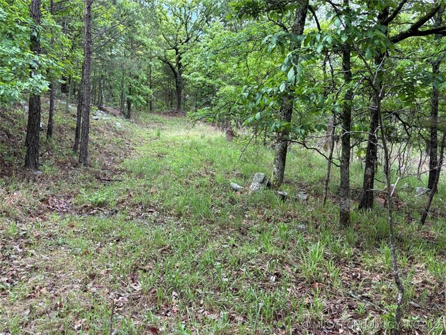 123 E Bolen Hollow Hollow W, Pittsburg, OK 74560 - photo 15