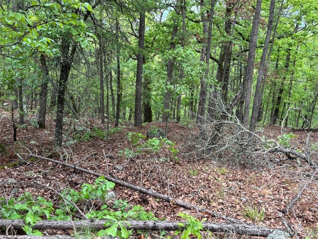123 E Bolen Hollow Hollow W, Pittsburg, OK 74560 - photo 17