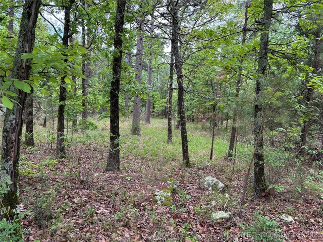 123 E Bolen Hollow Hollow W, Pittsburg, OK 74560 - photo 22
