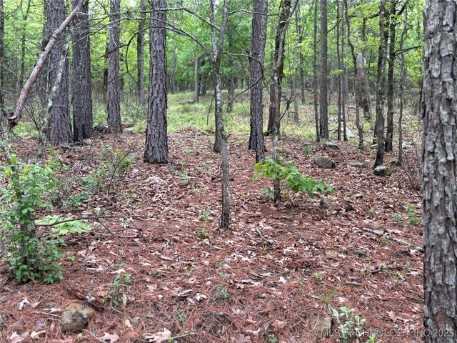 123 E Bolen Hollow Hollow W, Pittsburg, OK 74560 - photo 25