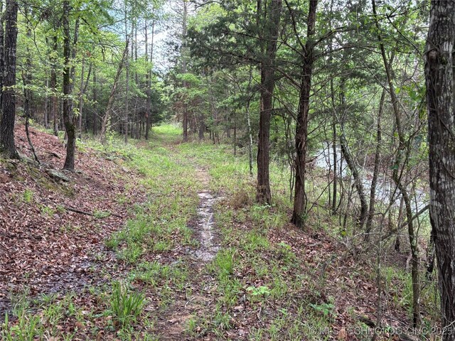 123 E Bolen Hollow Hollow W, Pittsburg, OK 74560 - photo 26