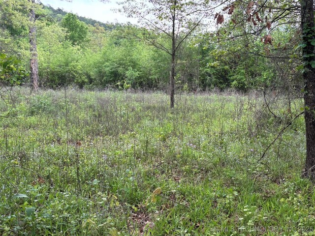 123 E Bolen Hollow Hollow W, Pittsburg, OK 74560 - photo 34
