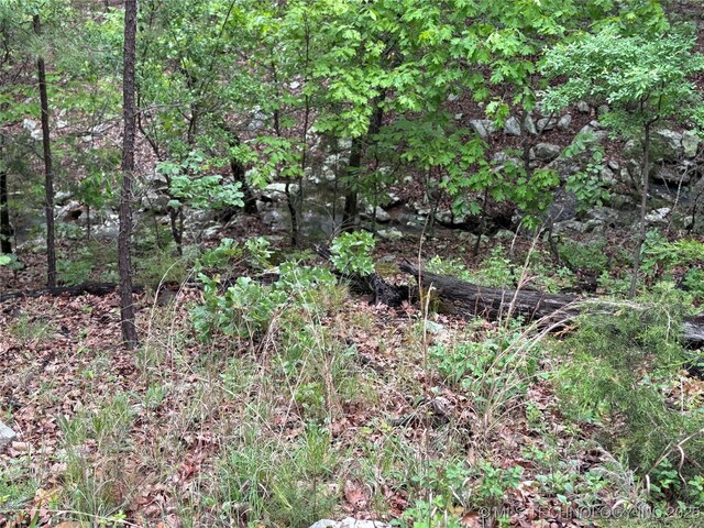 123 E Bolen Hollow Hollow W, Pittsburg, OK 74560 - photo 41