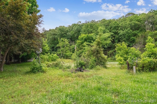 21745 E 660th Rd, Tahlequah, OK 74464 - view of wooded area