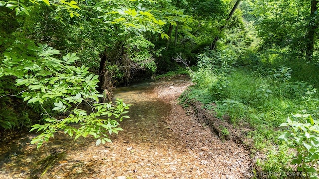 21745 E 660th Rd, Tahlequah, OK 74464 - view of local wilderness