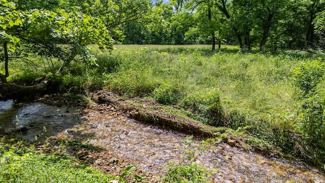 21745 E 660th Rd, Tahlequah, OK 74464 - view of tree filled area